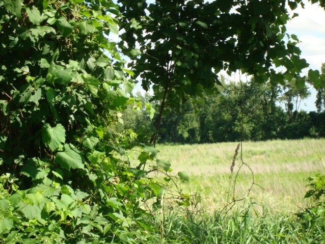 Primary Photo Of Parks Rd, Oakland Township Land For Sale