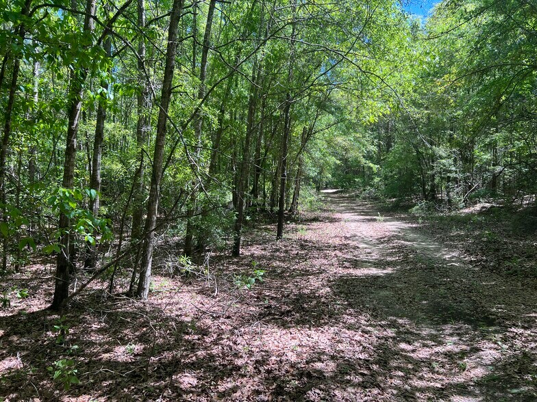 More Photos Of 2610 Highway 4, Jay Land For Sale