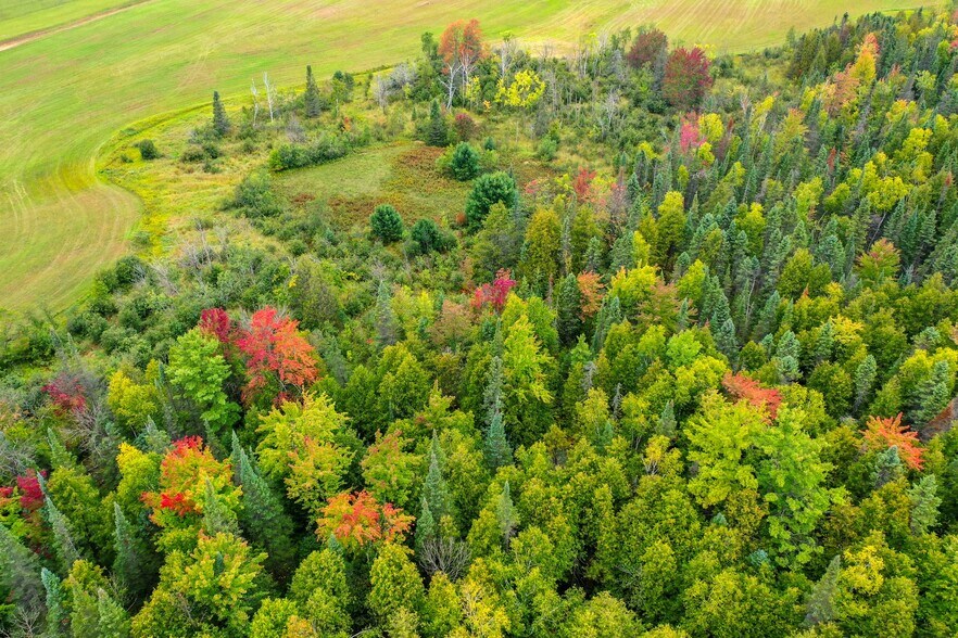 More Photos Of US Highway 141, Wausaukee Land For Sale