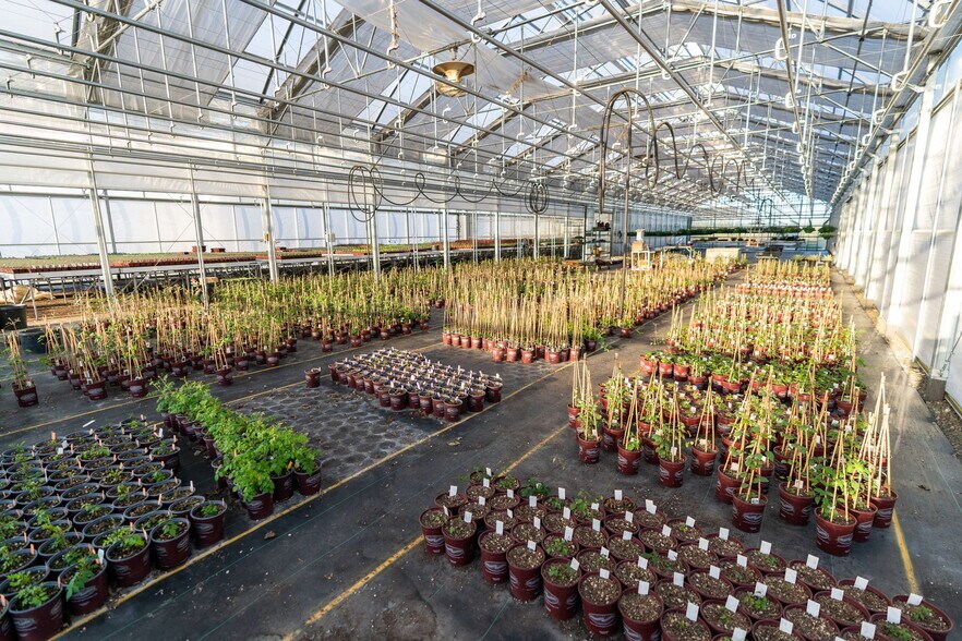 More Photos Of 1355 N Barlow St, Cornelius Winery Vineyard For Sale