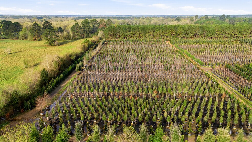 More Photos Of 28287 Hegar Rd, Hockley Land For Sale