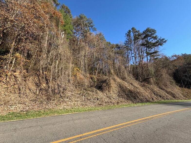 More Photos Of Whitepath Rd, Ellijay Land For Sale