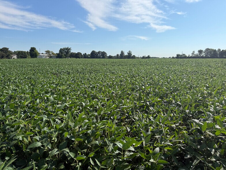 More Photos Of 7535 S 600 E, Columbia City Land For Sale