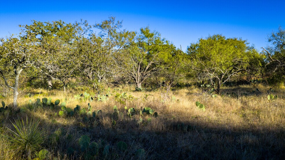 More Photos Of 7499 US 87 hwy, Mason Land For Sale