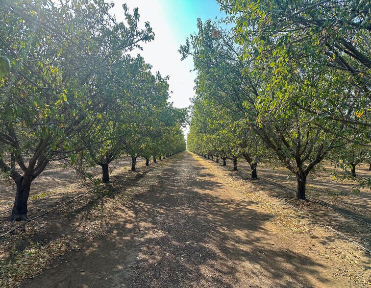 More Photos Of Bear Mountain Blvd. @ Malaga Rd., Arvin Land For Sale