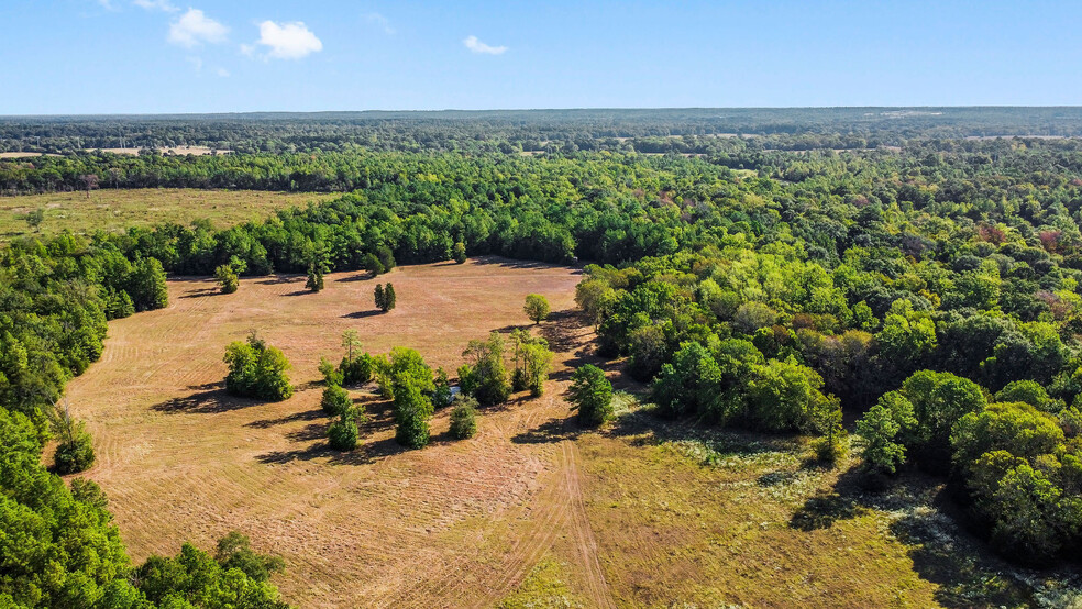 Primary Photo Of 15863 Rogers, Willis Land For Sale