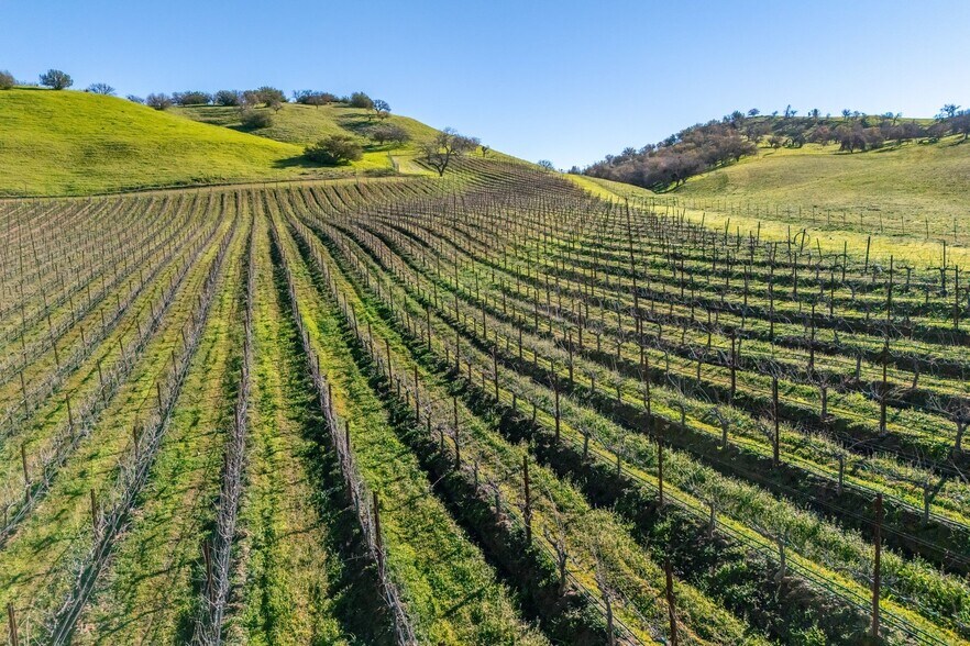 More Photos Of 535 Calf Canyon Hwy, Creston Winery Vineyard For Sale