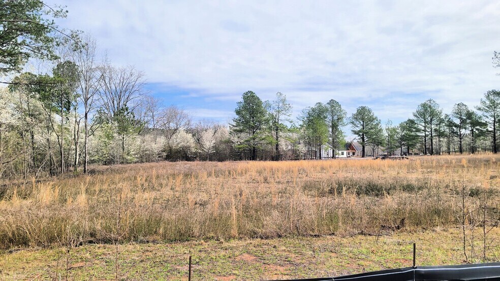 More Photos Of 1019 Chancellors Ferry Loop, Harpersville Land For Sale