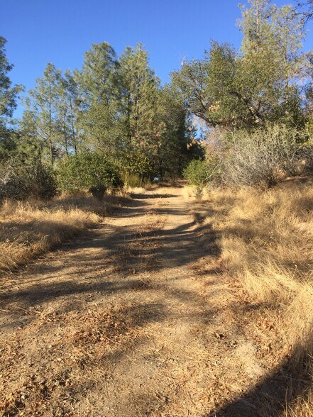 More Photos Of Ranch Camp Road @ Omo Ranch Road, Somerset Land For Sale