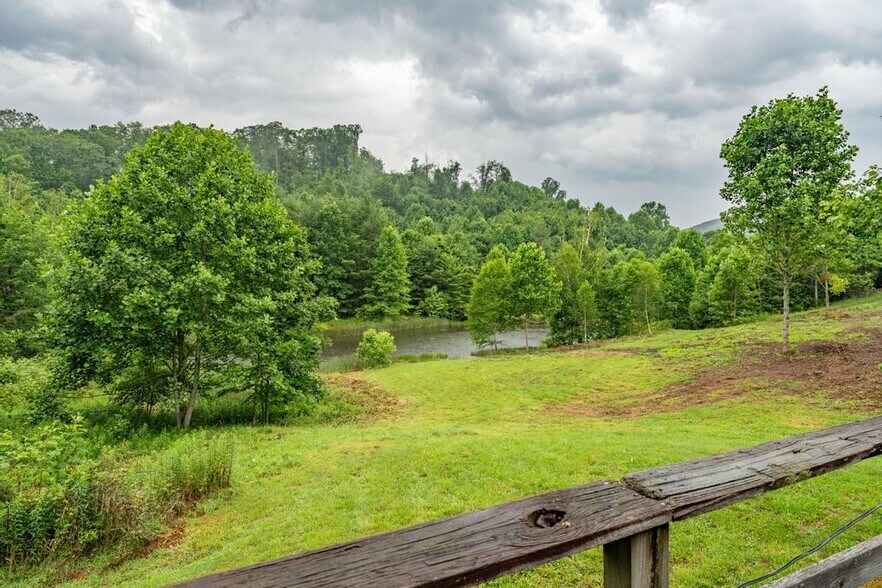 More Photos Of 306 Bear Branch rd, Roan Mountain Land For Sale