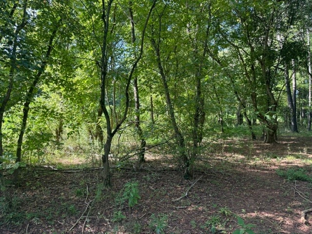 More Photos Of 19 Canter Ln NE, Cartersville Land For Sale