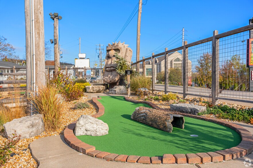 More Photos Of 3608 W 76 Country Blvd, Branson Amusement Park For Sale