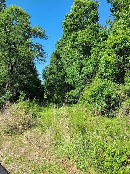 More Photos Of 411 Springwood Dr, Conroe Land For Sale