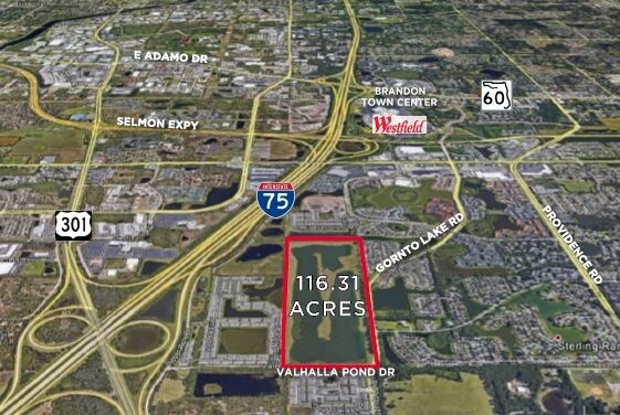 Primary Photo Of Lake Gornto & Valhalla Pond Dr, Riverview Land For Sale