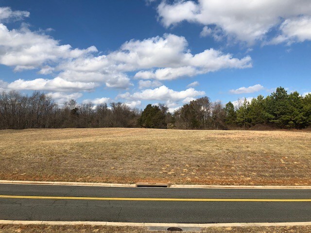 More Photos Of Brockman Park Drive, West & East Commerce St, Amherst Land For Sale