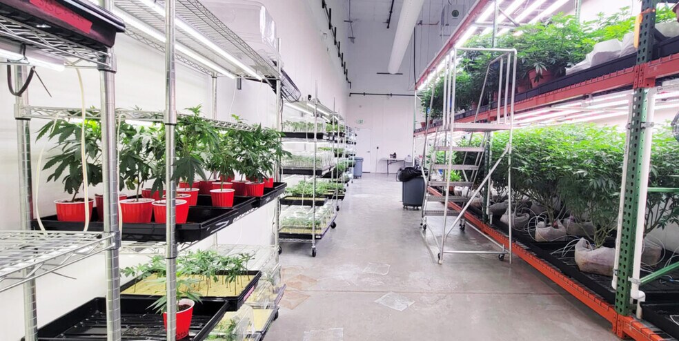 More Photos Of 8975 Page Ave, Jackson Warehouse For Sale