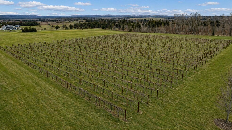 More Photos Of 8370 Lakeview Rd, Alanson Winery Vineyard For Sale