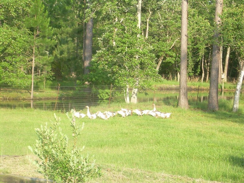 More Photos Of 13971 George Younce Rd, Foley Land For Sale