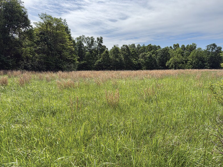 More Photos Of 2475 W County Road 1050 S, Cloverdale Land For Sale