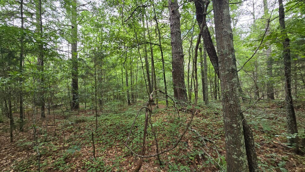 More Photos Of 5171 Ga Highway 138, Loganville Land For Sale
