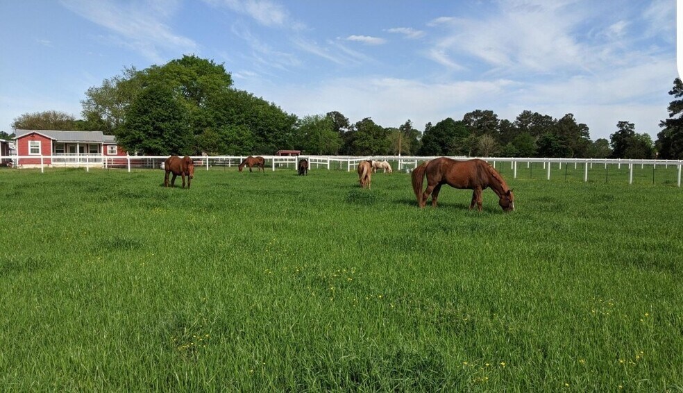 More Photos Of 1136 Jones Rd, New Waverly Land For Sale