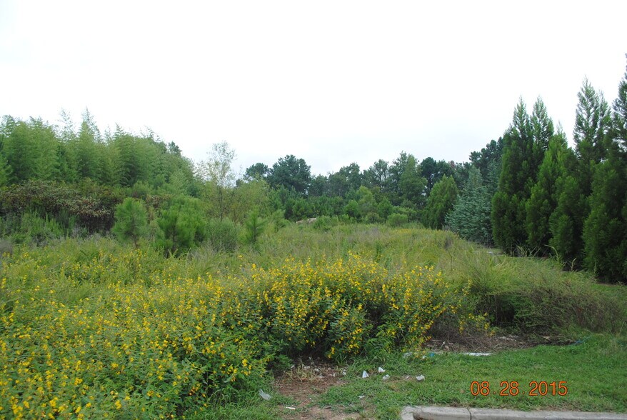More Photos Of 13180 Veterans Memorial Hwy, Douglasville Land For Sale