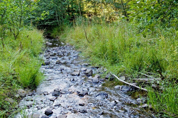 More Photos Of 66845 N Nehalem Hwy, Vernonia Land For Sale