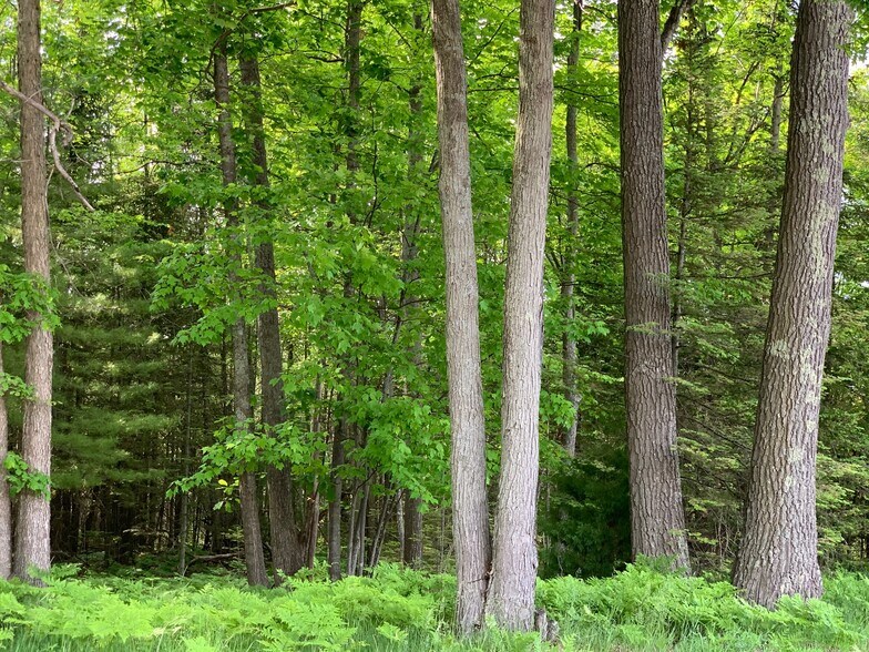 More Photos Of Xxx W Houghton Lake Dr, Houghton Lake Land For Sale