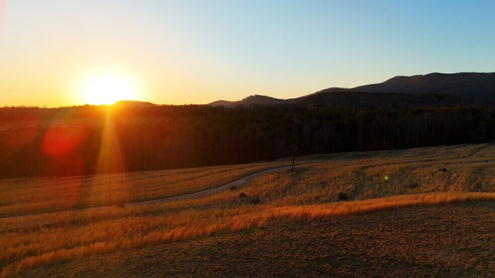 More Photos Of 142 Mace Rd, Casar Land For Sale