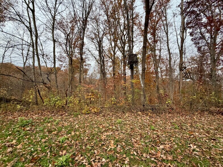 More Photos Of 23765 Charleston Rd, Leon Land For Sale