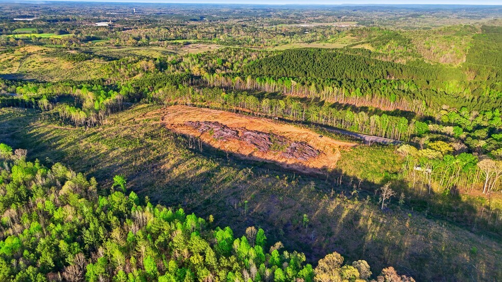 More Photos Of 0 Highway 269, Parrish Land For Sale