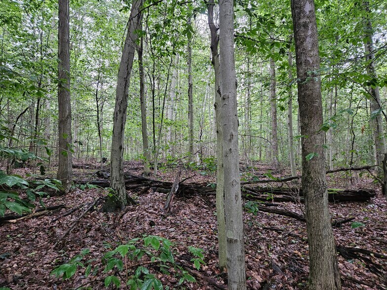 More Photos Of 3922 Kortwright Rd, Jamestown Warehouse For Sale