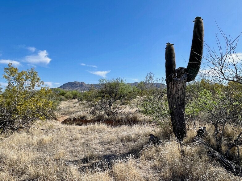 More Photos Of 26757 N 132nd St, Scottsdale Land For Sale