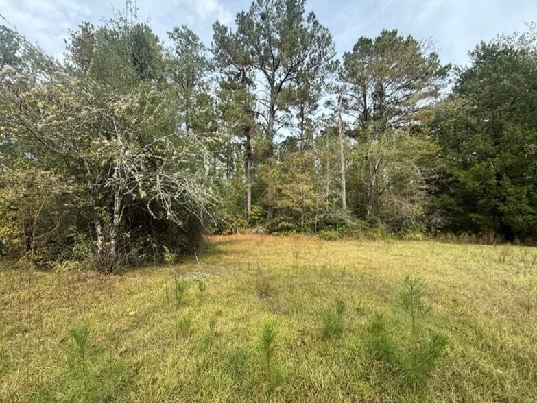 More Photos Of TBD Possum Trot ln, Pitkin Land For Sale