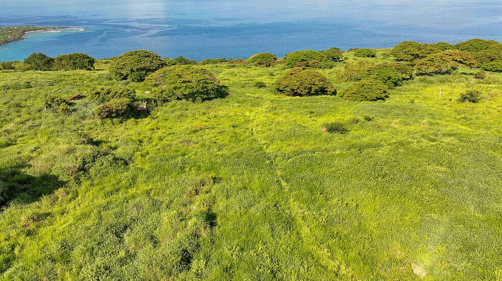 More Photos Of 82-6159 Napoopoo Rd, Captain Cook Land For Sale