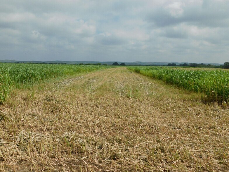 More Photos Of 10566 Texas Highway 127, Sabinal Land For Sale