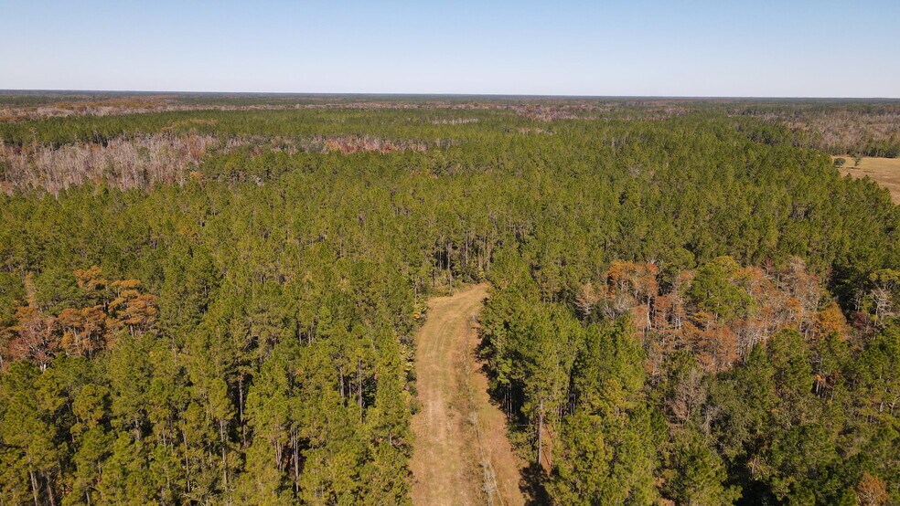 More Photos Of 4597 State 24 rd, Bronson Land For Sale