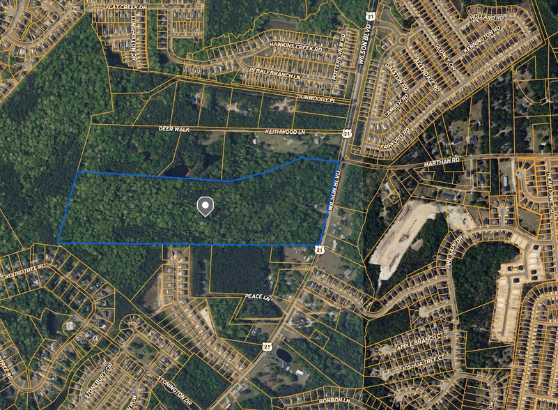 Primary Photo Of 10013 Wilson Blvd, Blythewood Land For Sale