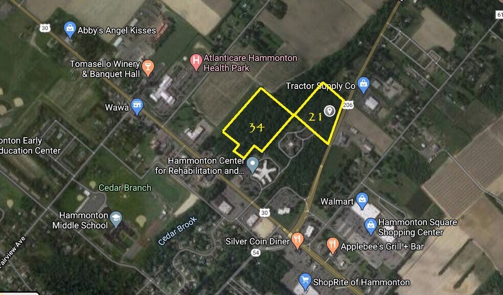 Primary Photo Of 55 Route 206, Hammonton Land For Sale