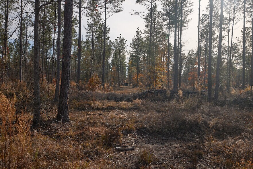 More Photos Of 480 Martin Rd, Cotton Valley Land For Sale