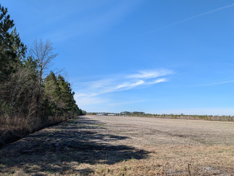 More Photos Of 522 Plum Nearly Ln, Trenton Land For Sale