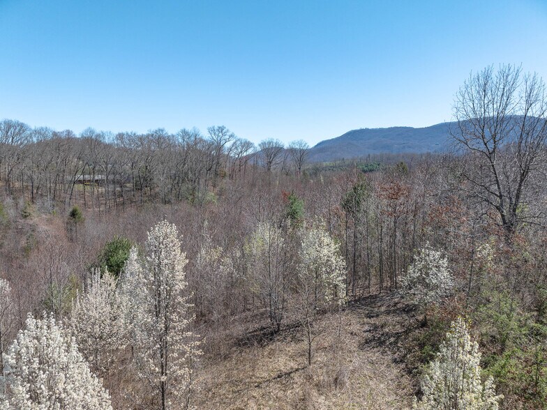 More Photos Of 00 Woodland Dr, Waynesville Land For Sale