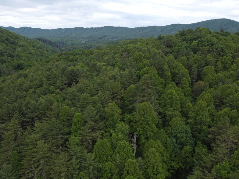 More Photos Of 6421 Highway 91 N, Laurel Bloomery Warehouse For Lease