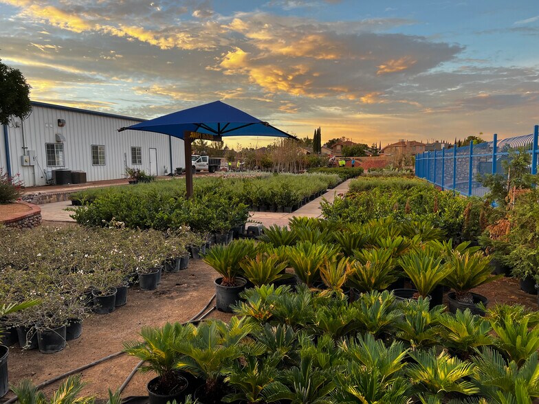 More Photos Of 11320 Montana Ave, El Paso Garden Center For Sale