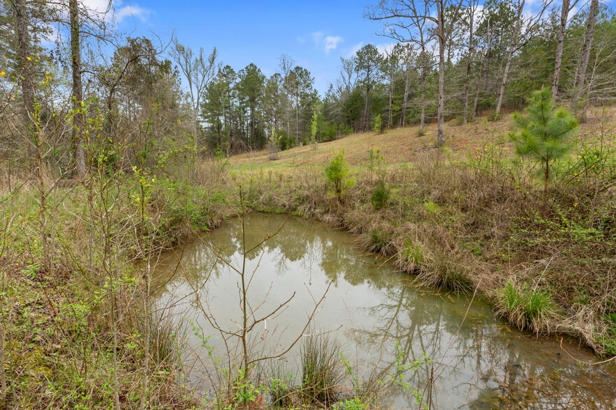 More Photos Of 2482 Old Douglass Rd, Winnsboro Land For Sale