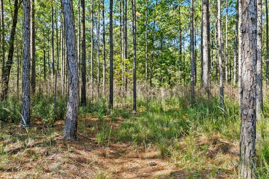 More Photos Of 0 Nokomis Road, Walnut Hill Land For Sale
