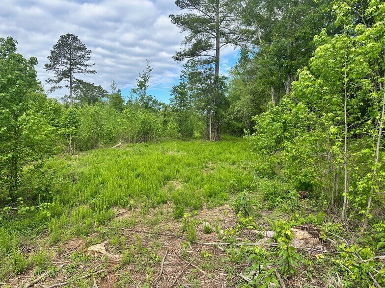 More Photos Of Satcher Road Rd, Taylorsville Land For Sale