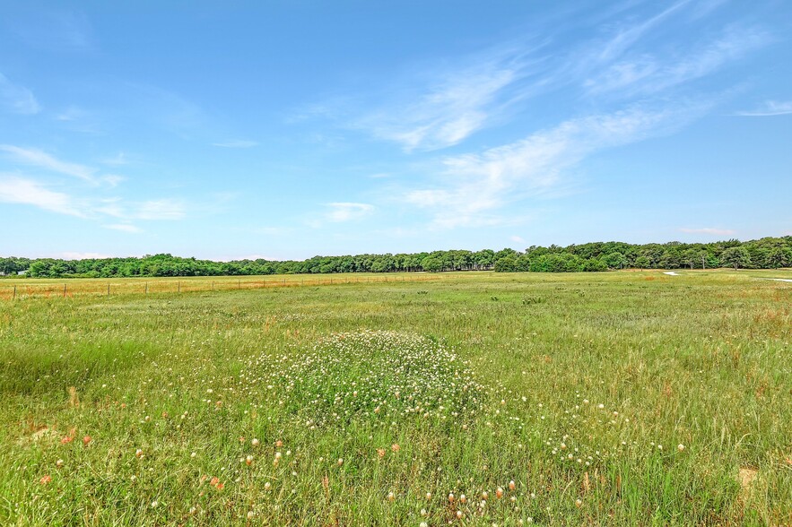 Primary Photo Of 19039 FM 678, Whitesboro Land For Sale