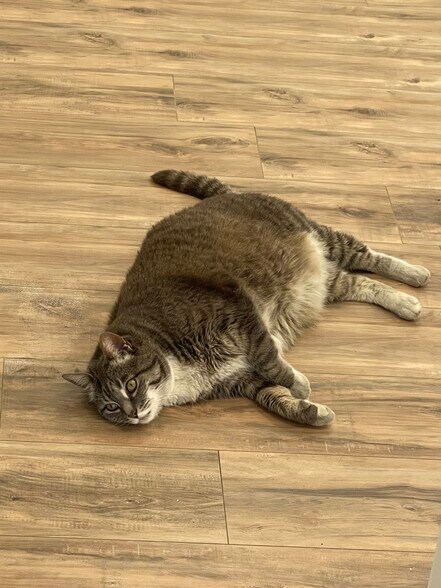 More Photos Of 1436 S La Cienega Blvd, Los Angeles Office For Sale