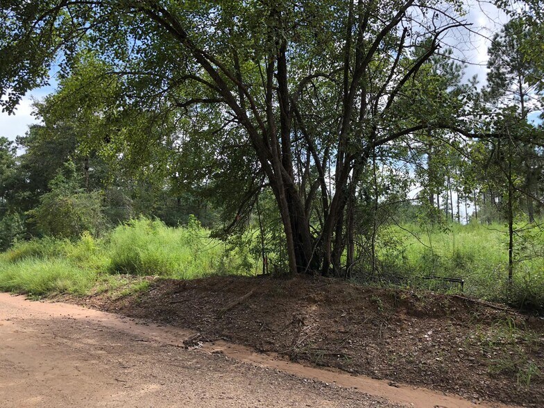 More Photos Of 395 Nettles rd, Livingston Land For Sale